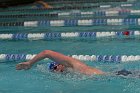 MSwim vs USCGA  Men’s Swimming & Diving vs US Coast Guard Academy. : MSwim, swimming